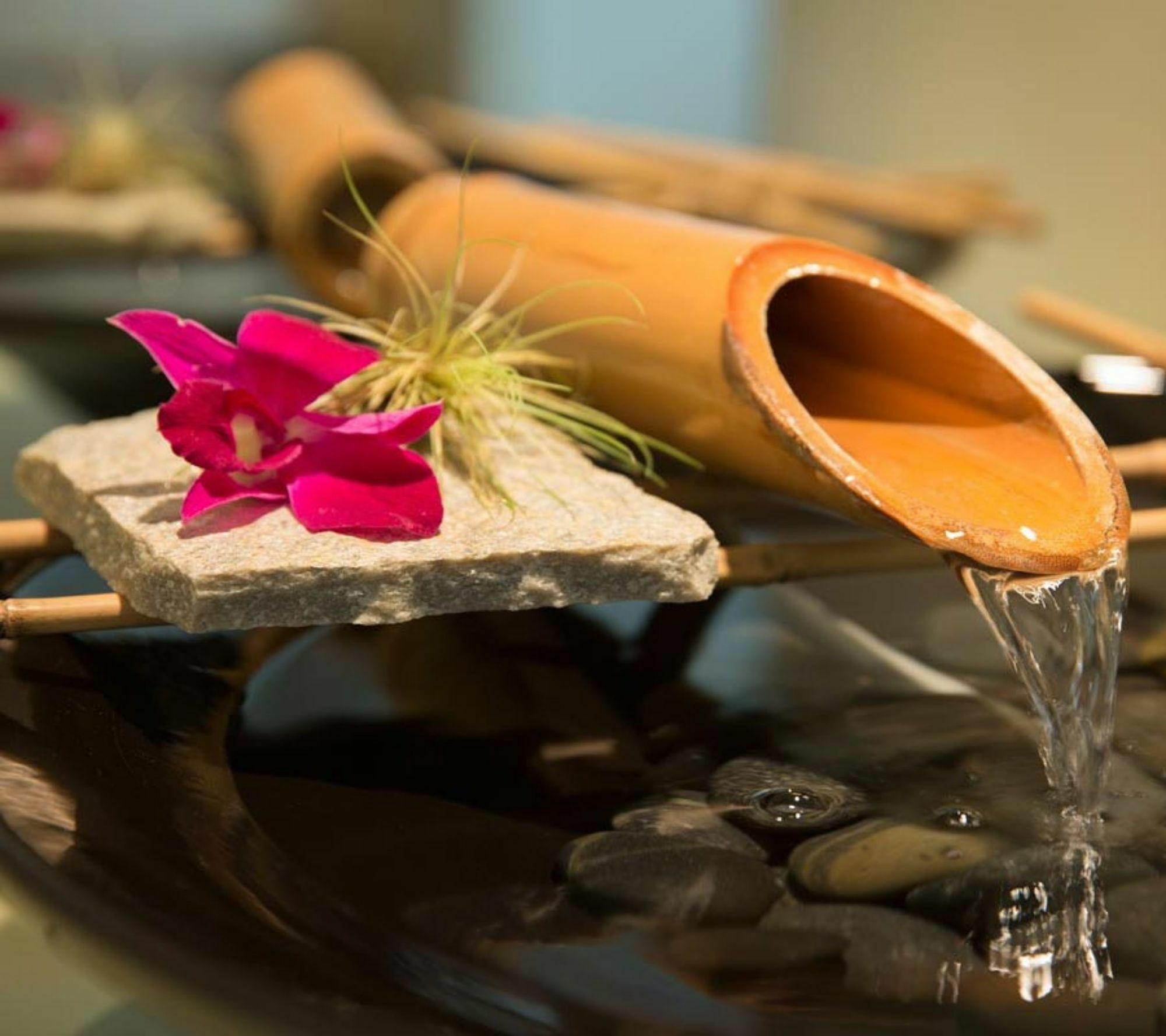 Tradewinds Carmel Otel Dış mekan fotoğraf